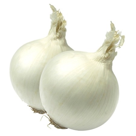 CIPOLLE BIANCHE FRESCHE